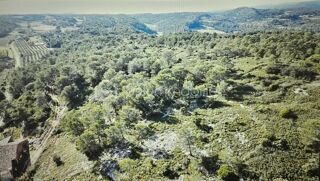  Propri�t�/ch�teau � vendre 9 pi�ces 326 m�