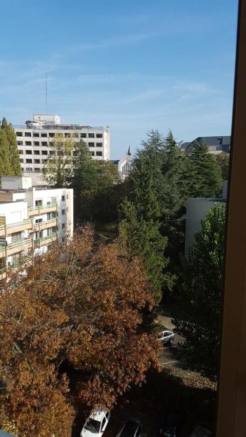  Appartement � louer 2 pi�ces 55 m�