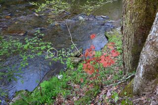  Terrain � vendre 53448 m�