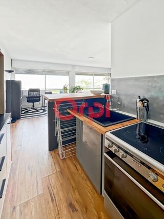  Appartement � louer 2 pi�ces 45 m�