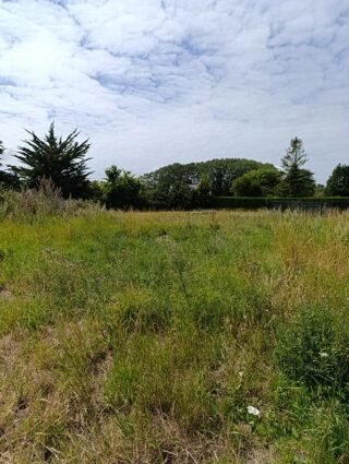  Terrain à vendre 1200 m²