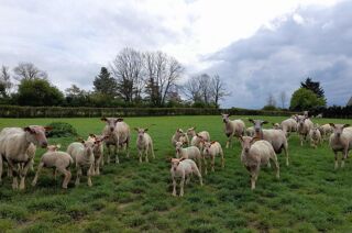  Maison � vendre 4 pi�ces 116 m�