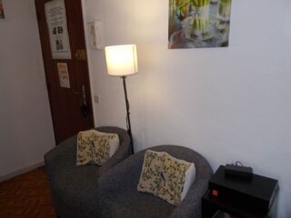  Appartement à louer 1 pièce 20 m²