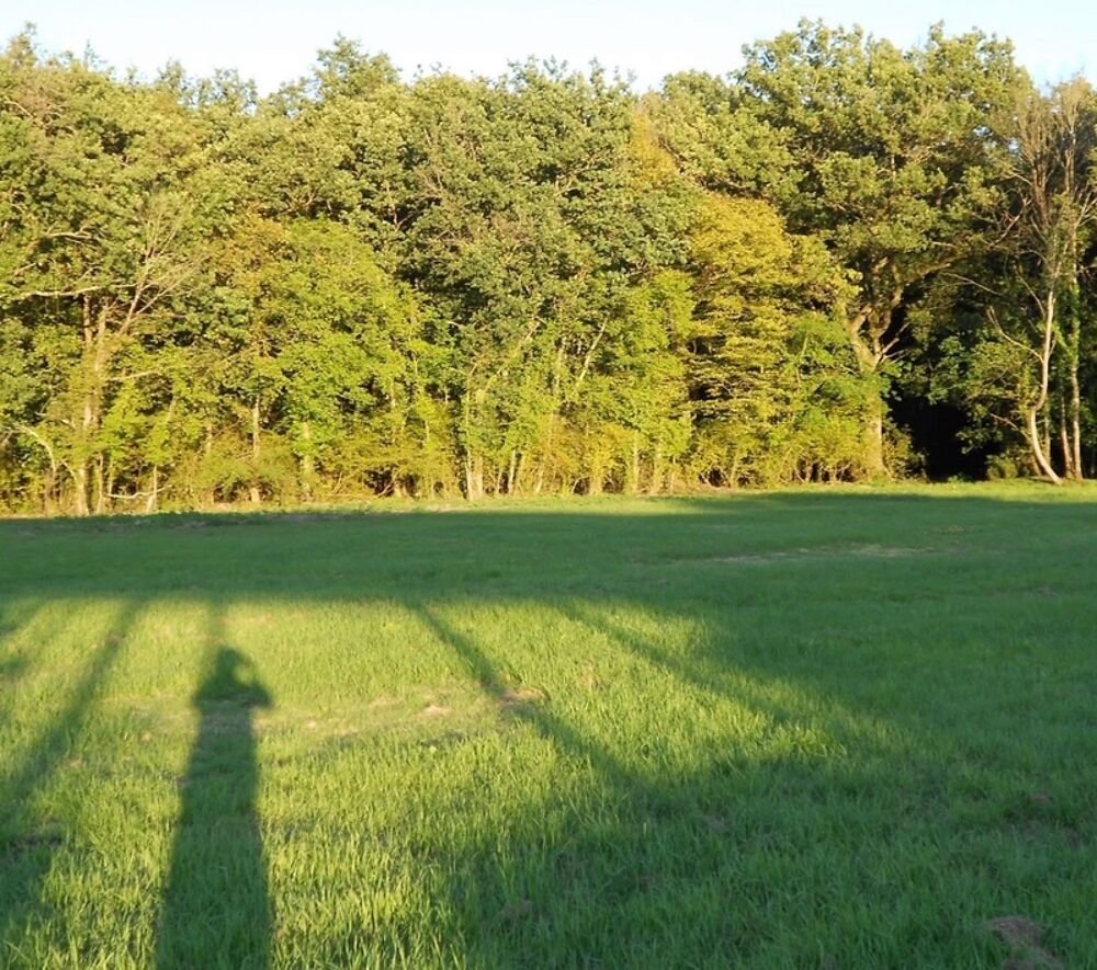 � vendre  Propri�t�/ch�teau Cheverny (41700)