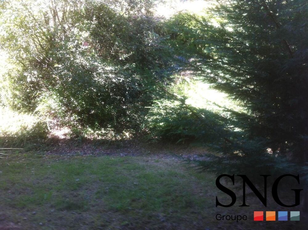 Location Appartement Appartement à louer 35M2 SAINT GAUDENS (31) Saint gaudens