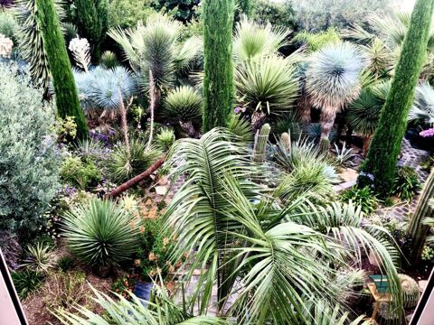  Appartement � louer 3 pi�ces 65 m�