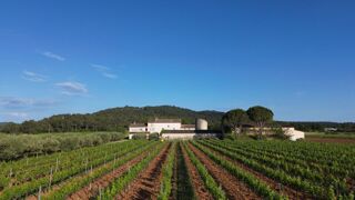  Propriété/château à vendre 10 pièces 600 m²