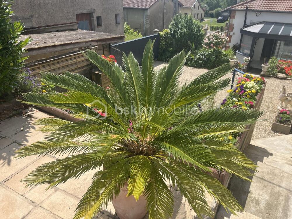 Maison de Maître - 7 pièces - 184m²
