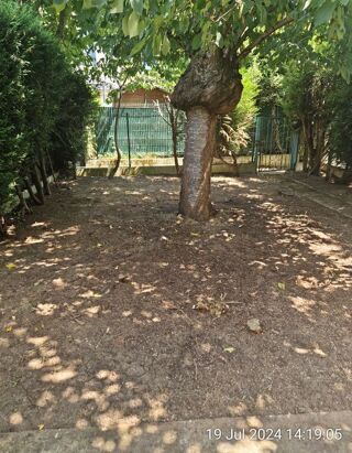  Appartement � louer 1 pi�ce 25 m�