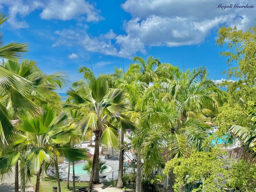 Vente Appartement A VENDRE - CHARMANT STUDIO RENOVE AU COEUR D'UN CADRE TROPICAL RECHERCHE - SAINTE ANNE Sainte anne