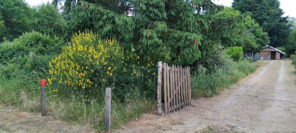 Vente Terrain Terrain de loisirs Les Bordes Les bordes