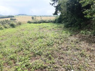  Terrain à vendre 1355 m²
