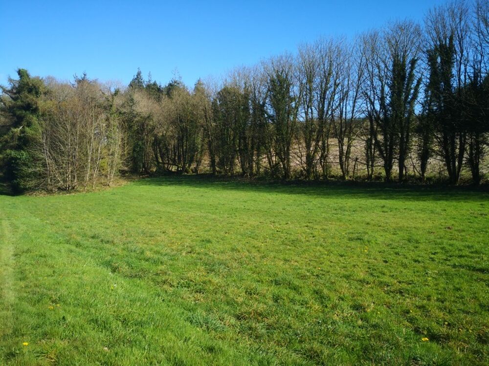 Vente Terrain Terrain agricole de 13 000 m� avec b�timent agricole r�cent � Id�al projet �questre ou petite agriculture Plouray