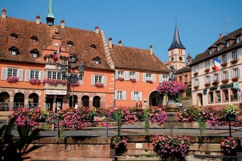 Fonds de commerce &agrave; vendre proche d' OBERNAI (67) : Bar Brasserie : 204 m2 - Terrasse - Parking ZB - proche centre ville 179200 67210 Obernai