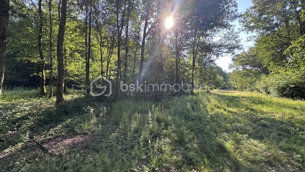 Vente Terrain TERRAIN DE LOISIRS, ENCLOS POUR CHEVAUX Neufmanil