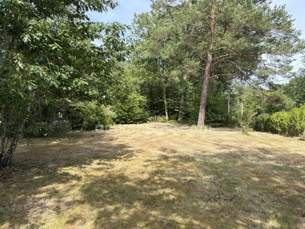 Vente Maison NANCAY, 12 kms de l'A71 SALBRIS MAISON DE CAMPAGNE au calme en très bon état Nancay