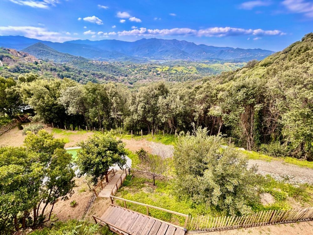 à vendre  Villa Poggio-d'Oletta (20232)