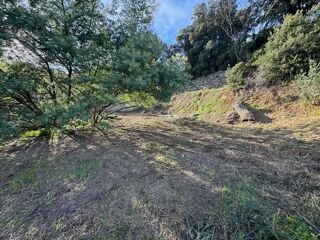  Terrain à vendre 1259 m²