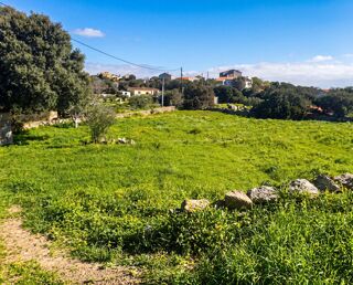  Terrain à vendre 1000 m²