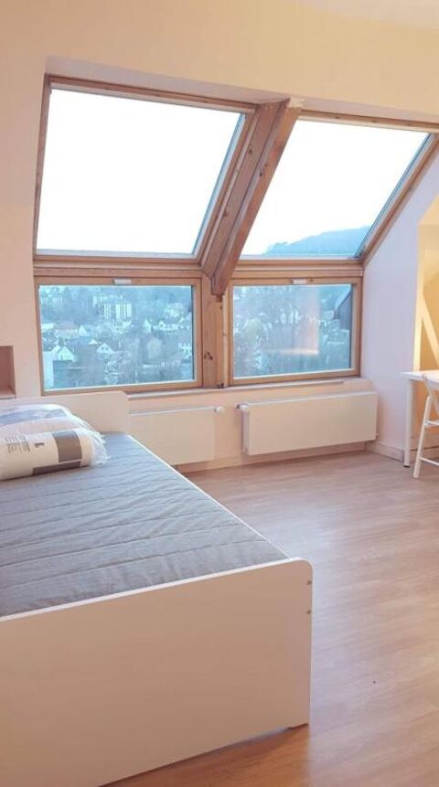   Chambre de 18m2 � louer sur Orsay Appartement - 1 pi�ce(s) - 18 m�