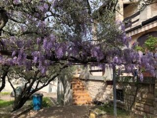  Maison � vendre 6 pi�ces 145 m�