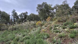  Terrain � vendre 56090 m�