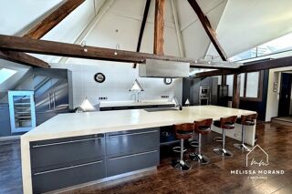  Loft à vendre 5 pièces 285 m²