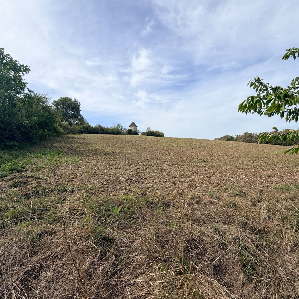 Vente Maison Maison avec terrain  LAPLUME (47) Laplume