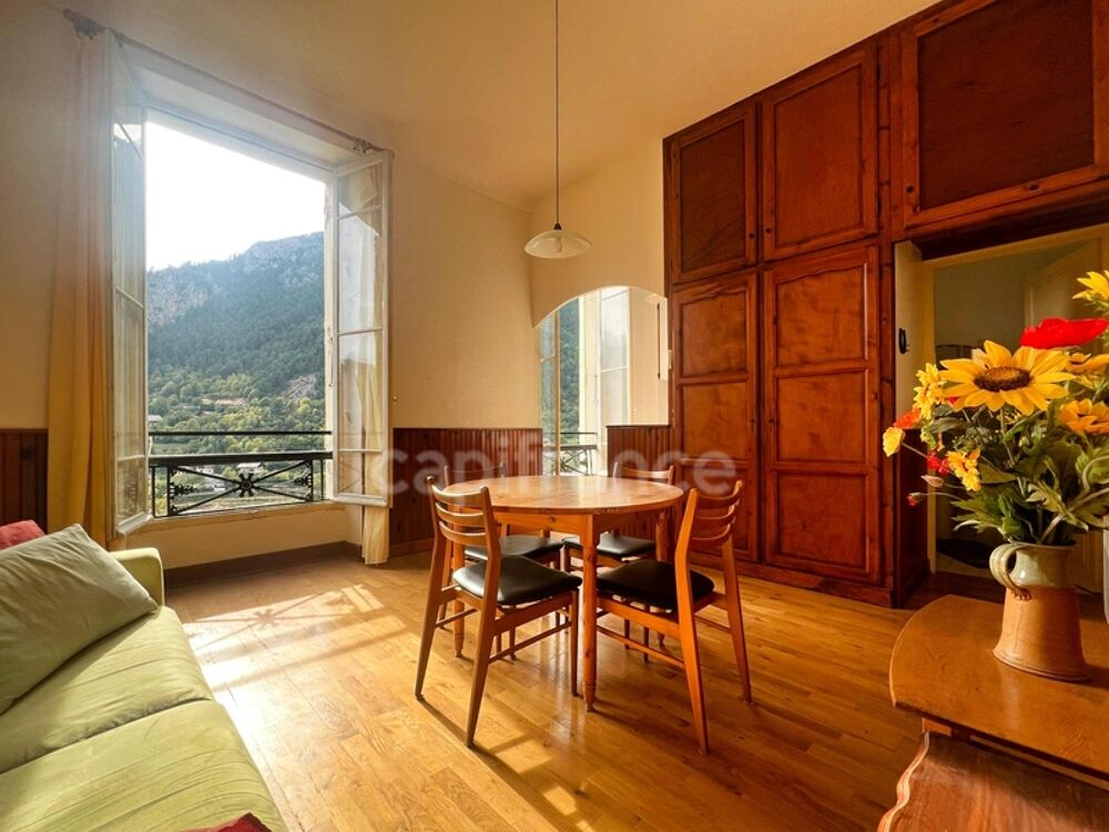 Vente Appartement A vendre, Appartement 2 pièces, 41 m², Saint-Martin-Vésubie 06450, Alpes-Maritimes Saint martin vesubie