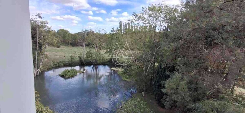 à vendre  Propriété/château Vernou-sur-Brenne (37210)