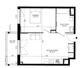  Appartement à louer 2 pièces 45 m²