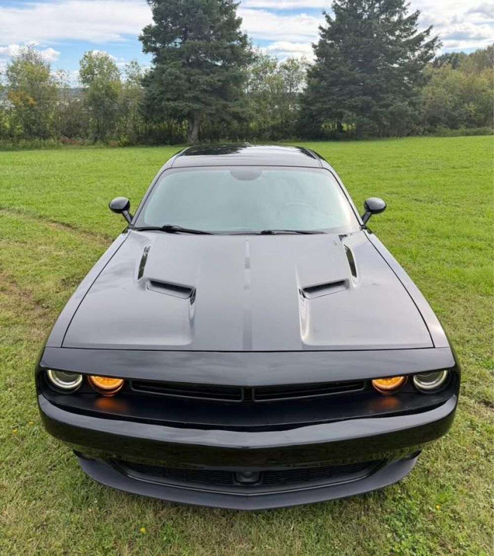 Challenger V8 RT 5,7L HEMI SUPER TRACK PACK 2015 occasion 33300 Bordeaux