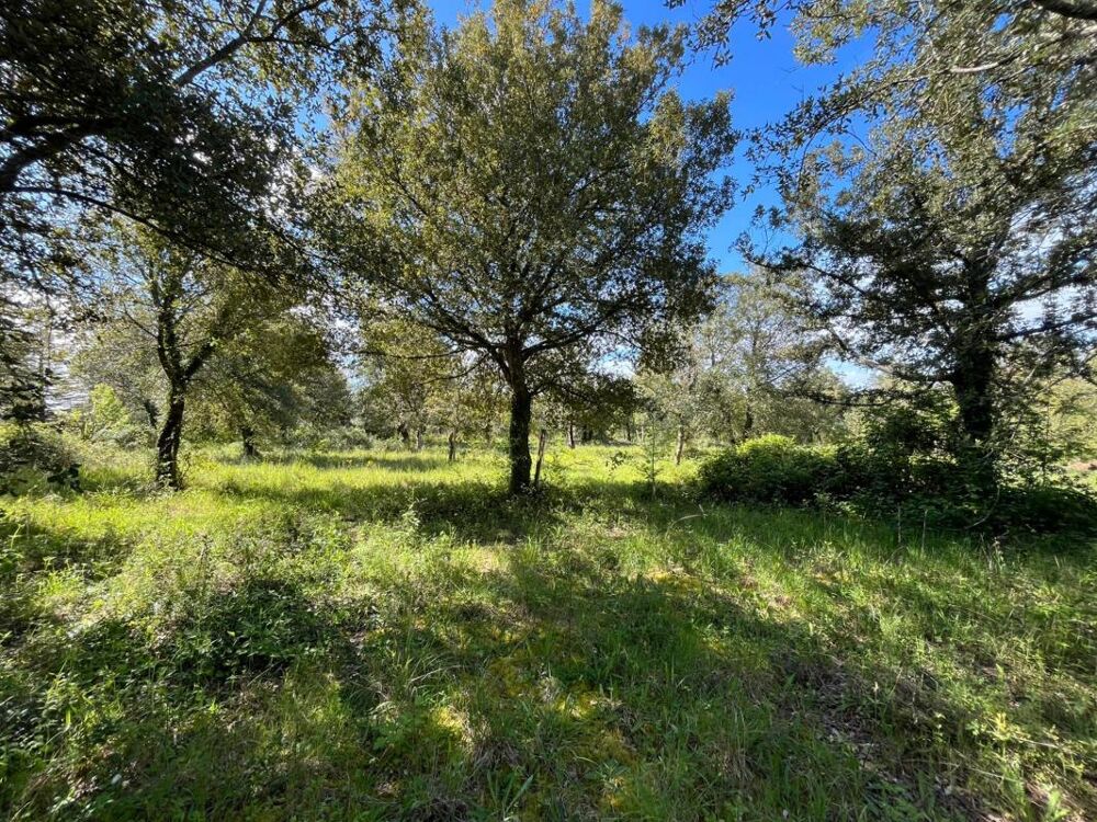 Vente Terrain Terrain Saint thomas de conac
