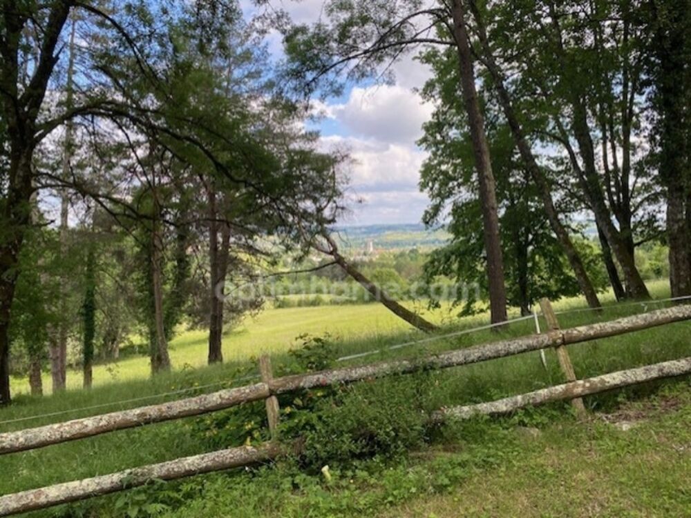 Magnifique maison de Maître, à vendre, 6 pièces SAINT ASTIER (24) avec vue sur plus de 17 ha de terrain