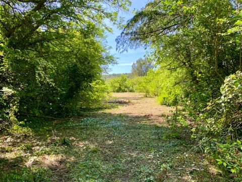   Villa d'exception � r�nover � Parc arbor� de 3 906 m� � Clapiers Maison - 6 pi�ce(s) - 216 m�