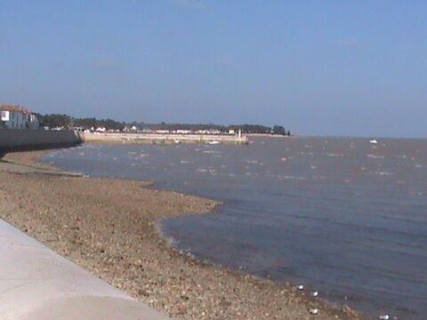  Appartement � louer 3 pi�ces 68 m�