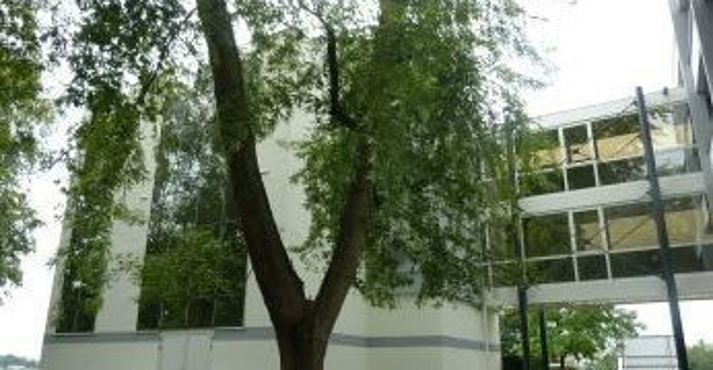   A LOUER - BUREAUX Saint marcel