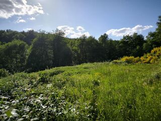  Terrain  vendre 2312 m