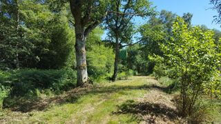  Terrain à vendre 1030000 m²