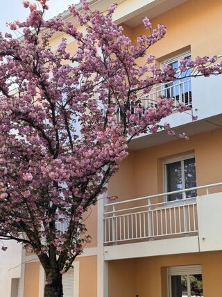  Appartement à louer 1 pièce 18 m² Talence