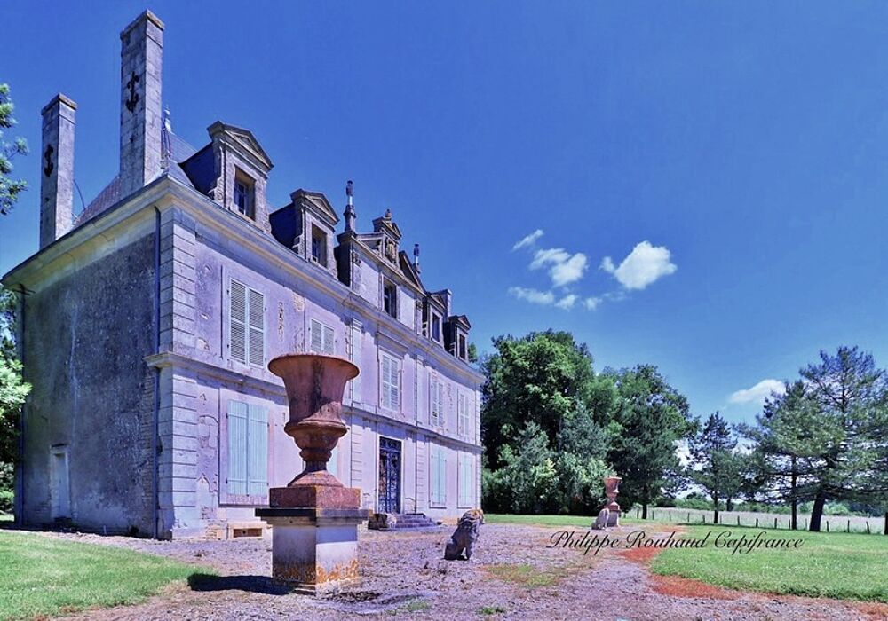 Château du XVII? siècle à vendre, 17 pièces, FOUSSAIS PAYRE (85)