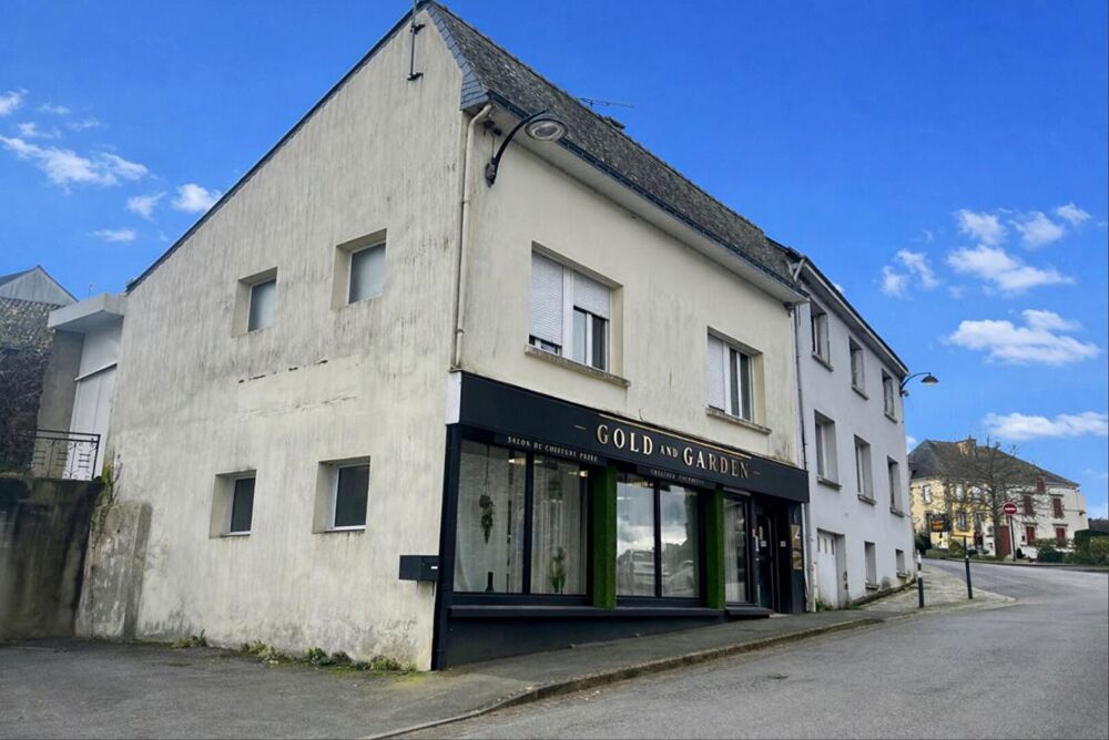   SAINT JEAN BREVELAY - Immeuble de rapport avec deux lots loués 