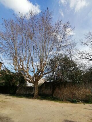  Terrain � vendre 618 m�