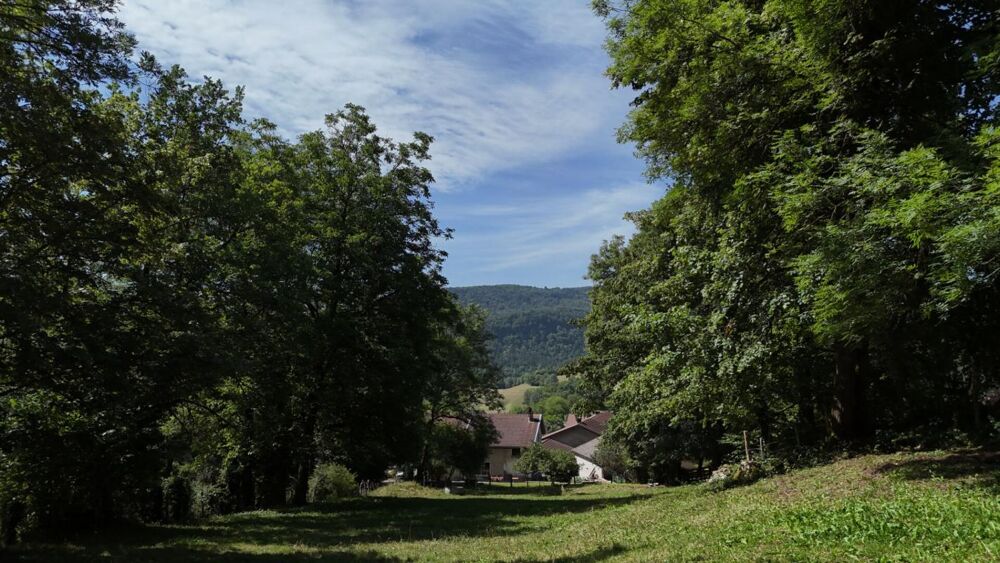 Vente Maison Maison en pierres avec 3 chambres, proche de la rivière d'Ain ? Coisia (Thoirette-Coisia) Thoirette coisia