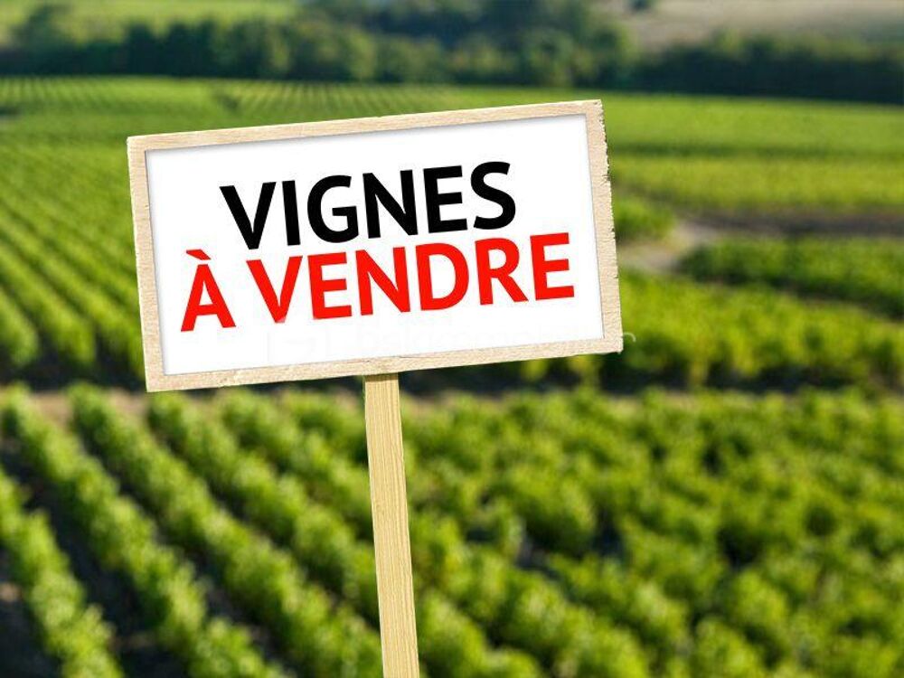 Vente Terrain A VENDRE VIGNES EN COMPLANTS 47000 M² A BANYULS SUR MER - VUE MER - GRENACHE NOIR Banyuls sur mer