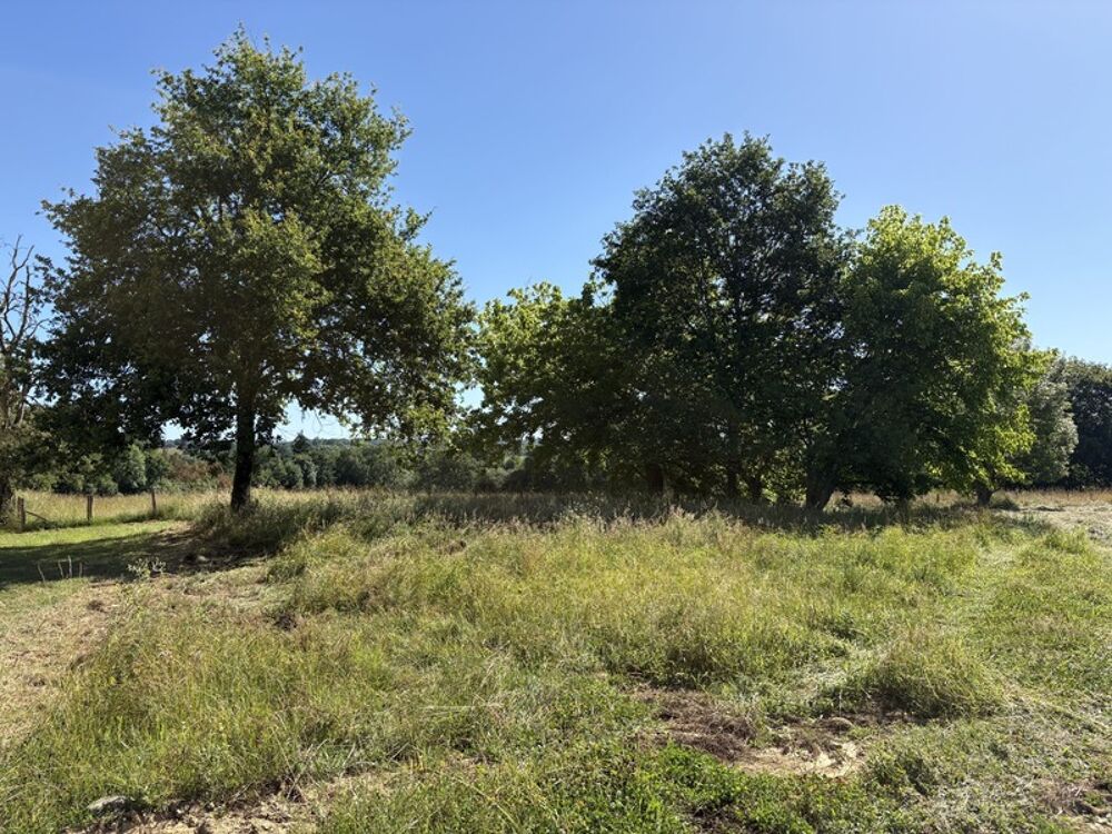 Vente Terrain Proche Orthez (64) - À VENDRE - Terrain constructible de 1,4ha idéal promoteur ou lotisseur Orthez