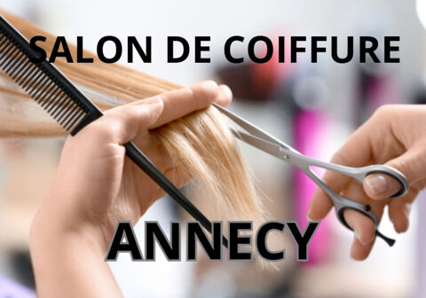 Commerces/Negoce 79000 74000 Annecy