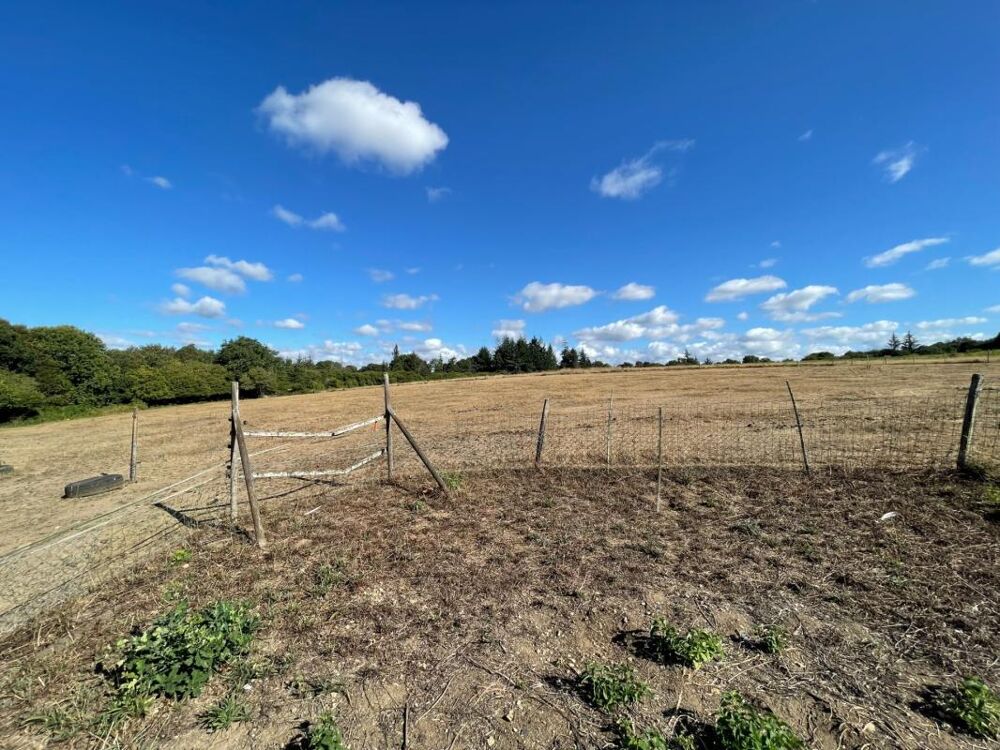 Propriété à vendre 12 pièces LANRIVAIN (22)