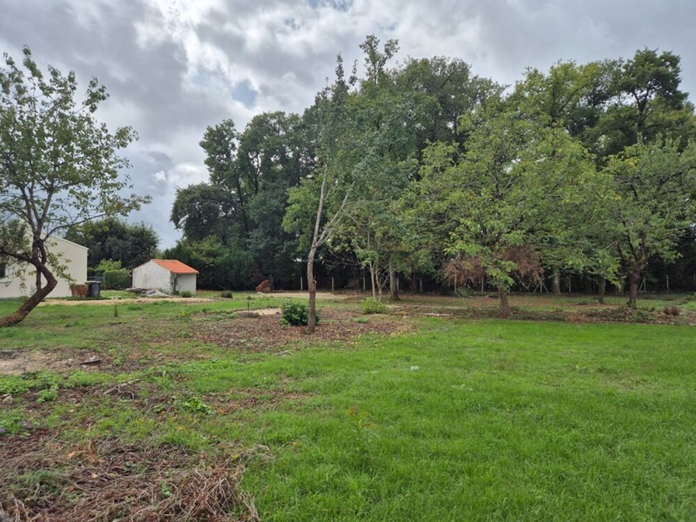 Vente Terrain Beau terrain clos de 1600 m2, secteur calme, proche commerces et transport Puymoyen