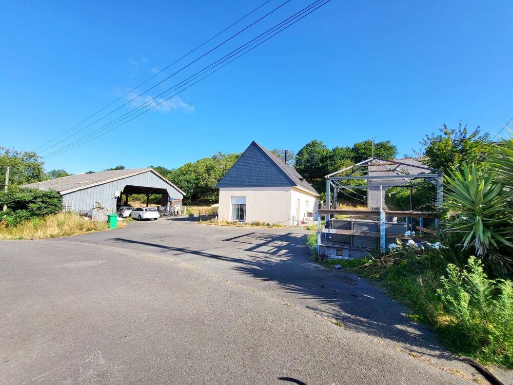 Maison contemporaine à vendre 8 pièces ARGOL (29)
